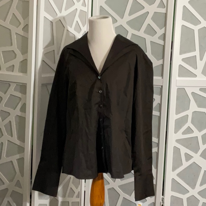 Brown Button Down Blouse